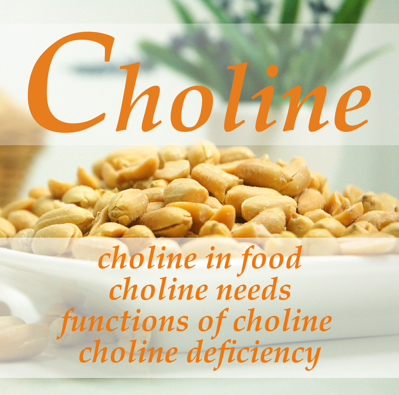 CHOLINE: SOURCES, NEEDS, FUNCTIONS & DEFICIENCY - DIY BITES